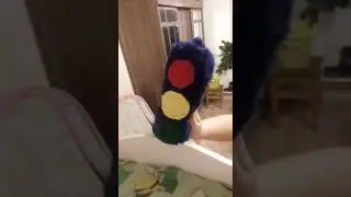 Крутой светофор