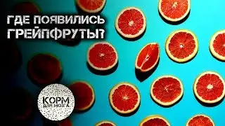 Где появились грейпфруты?