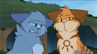 Коты Воители -  К Звездному Племени.