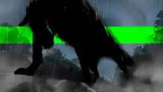«С НОВЫМ ГОДОМ»