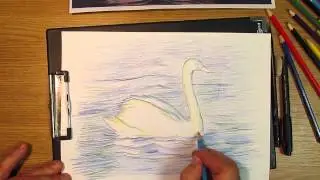 Как рисовать лебедя на воде. Часть 2. Урок 41