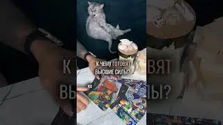 К ЧЕМУ ГОТОВЯТ ВЫСШИЕ СИЛЫ?  👁️таро расклад