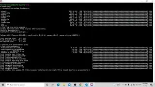How to install VS Code and GCC compiler(from MSYS2) for windows user. 