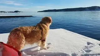 Надо замедлится и подождать. Высокая вода. Моржевание. Норвегия 07.02.24 Norway holiday