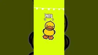 P🐥A🐥T🐥O🐥                                  