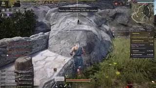 Время собирать камни в Black Desert