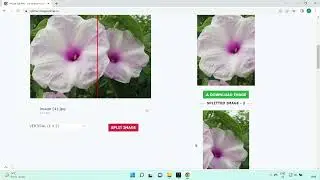 Image Splitter - cut image in to pieces - imageonline.co