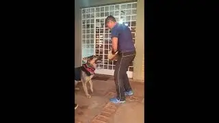 Leka bitework (trabalho de mordida) - 15/07/2024