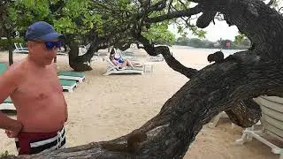 Белки в отеле Grand Hyatt Bali 5*