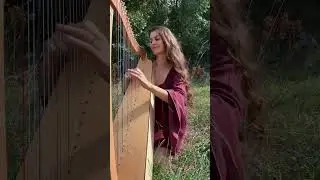 Esprit de louve, album harpe  #elfique #chant #forest #harp #harpe #loup #loupgarou #romantasy
