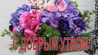 Доброго воскресного Утра ВАМ желаю. Приятных выходных и отличного настроения