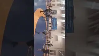 Нарт Арена