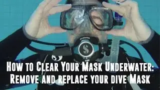 Mask clear: How to Clear Your Mask Underwater: Remove and Replace your Dive Mask