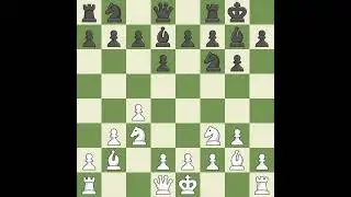Adamski Jan (POL) VS Malisauskas Vidmantas (LTU)