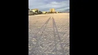 Fun at Fort Myers Fl