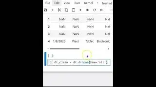 Delete Blank Rows in CSV with Python (Jupyter Hack)  