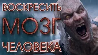 Воскрешение из мертвых: наука против смерти | Мозговедение