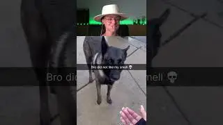 Try Not To Laugh Challenge Part 140 🤣 2025 