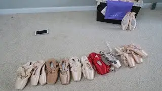 My experience with Gaynor Minden Pointe Shoes (please read description before commenting)
