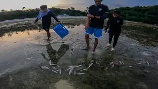 Simpleng Lugar Pero Napakaraming Isda Sa Mababaw