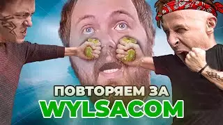 Повторяем и улучшаем картинку Wylsacom | Раzчленёнка