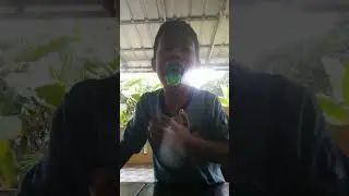 mainan ku semuanya