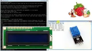 Домашний измеритель температуры и влажности (датчик DHT11) на базе Raspberry Pi