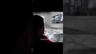 🤣Трэвис Скот VS Горилы #Shorts #TikTok #Мемы