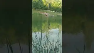 Отдыхаем в горячем летом 😎