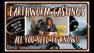 The Benefits of Earthworm Castings for Houseplants//EVERYTHING YOU NEED TO KNOW//And Then Some!