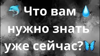 ЧТО ВАМ НУЖНО ЗНАТЬ УЖЕ СЕЙЧАС?🦋💧🐬