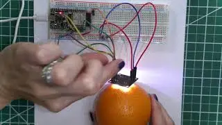 IoT Food and Quality