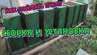 Как поймать пчёл? Сборка и расстановка ловушек для роёв.