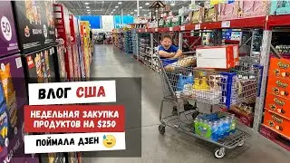 Недельная Закупка Продуктов на $250 | Поймала Дзен | Цены на продукты в США | Наша Жизнь в Штатах