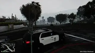 LSPDFR dia 1