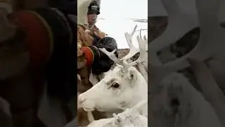 🤔 Рацион коренных народов Крайнего Севера