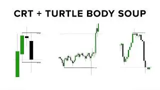 CRT + Turtle body soup = Huge results