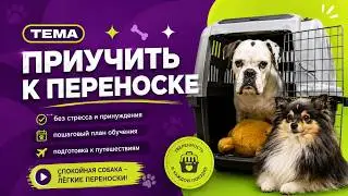 ПРИУЧИТЬ СОБАКУ К ПЕРЕНОСКЕ или клетке, к лежанке, к будке