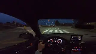 Audi RS3 8V - LOUD POV Mountain Run