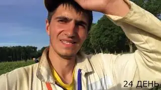 VLOG РАБОТА В ГЕРМАНИИ ( ЧЕРНИКА ) РАБОТА ЗА ГРАНИЦЕЙ ЧАСТЬ 13