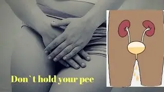 What Happens When You Hold Your Pee