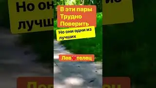 В эти пары трудно поверить