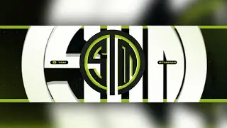 Twitter Header Speedart for TSM