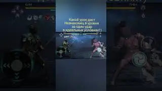 Сколько урона за один удар у Незнакомца?) #shadowfight3