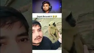 Try Not To Laugh Challenge 11 😂 #shorts