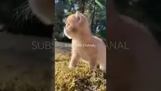So cute 🥰