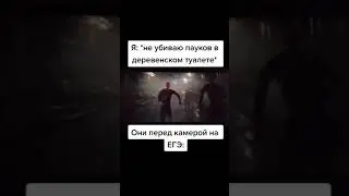 МЕМ №226 ПАУКИ КРУТЫЕ!