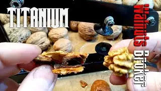 Как расколоть грецкий орех не повредив ядро?  Walnuts Broker