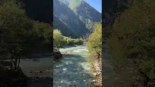 Абхазия 🫶