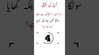 Today Hindi Paheli | best paheli | paheli | urdu paheli | urdu pahelian |